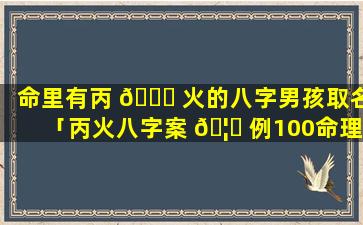 命里有丙 🐕 火的八字男孩取名「丙火八字案 🦟 例100命理」